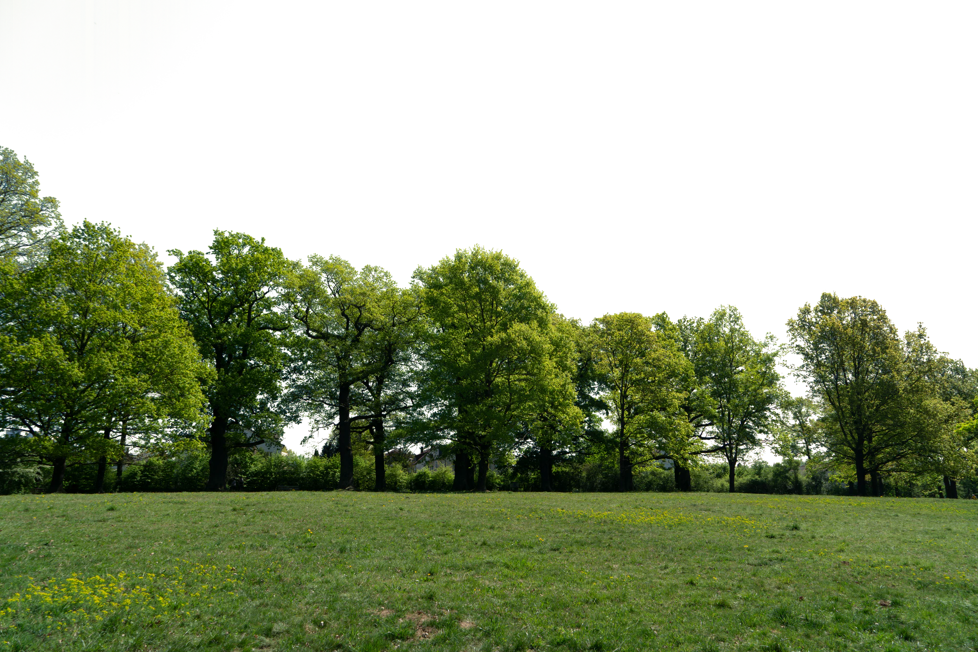 background 032 — Descargar