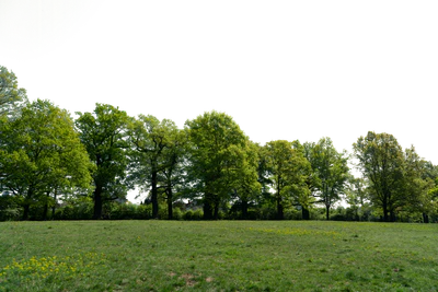 background 032 — Descargar