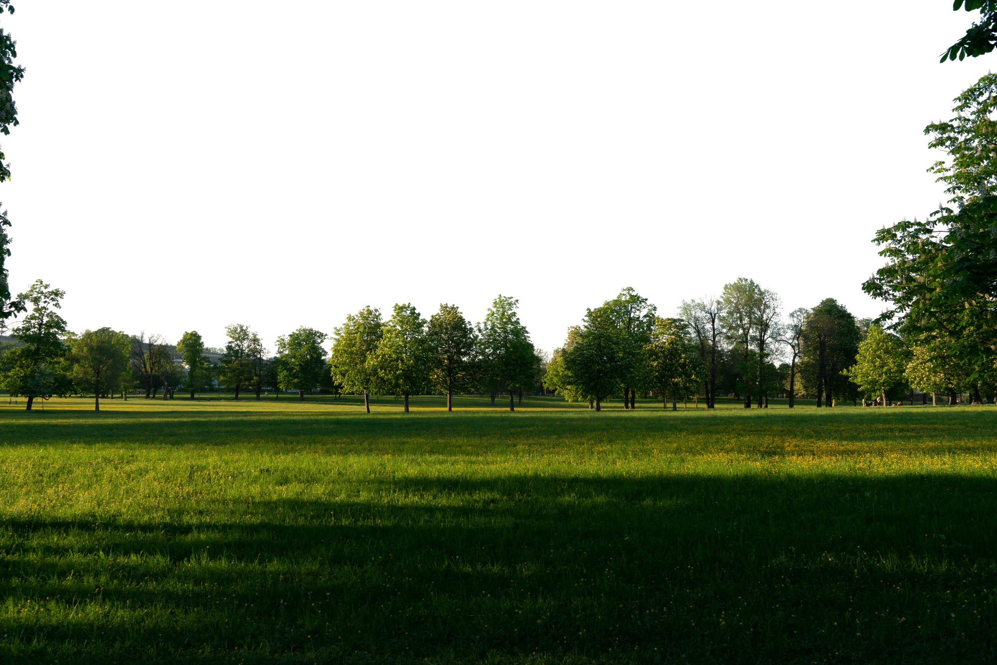 background 033 — Скачать