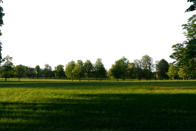 background 033 — Скачать