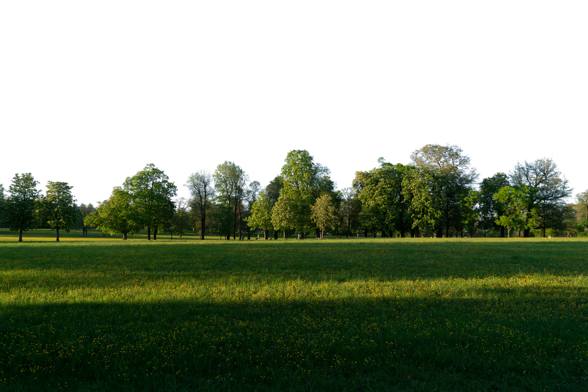 background 034 — Descargar