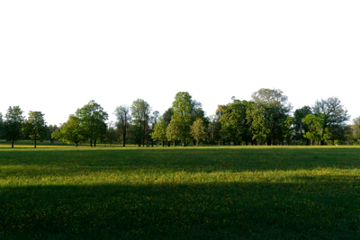 background 034 — Descargar