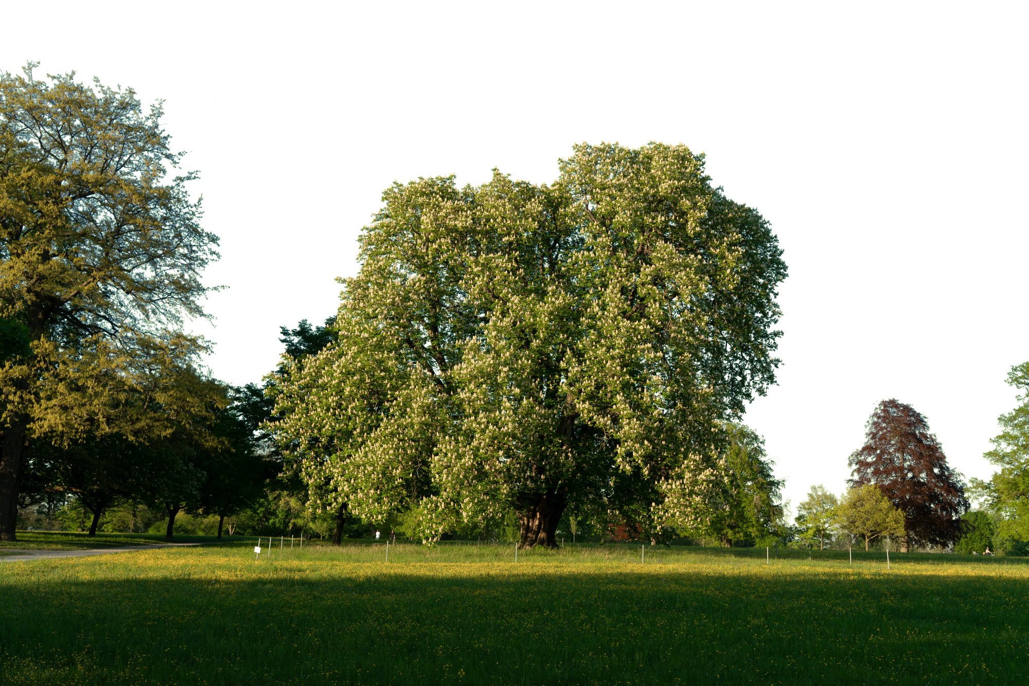 background 035 — Скачать