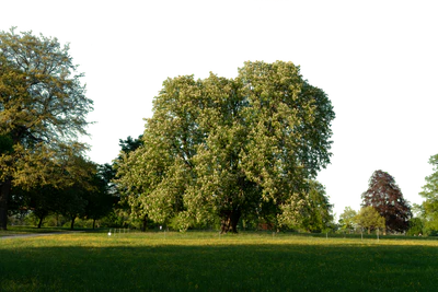 background 035 — Скачать
