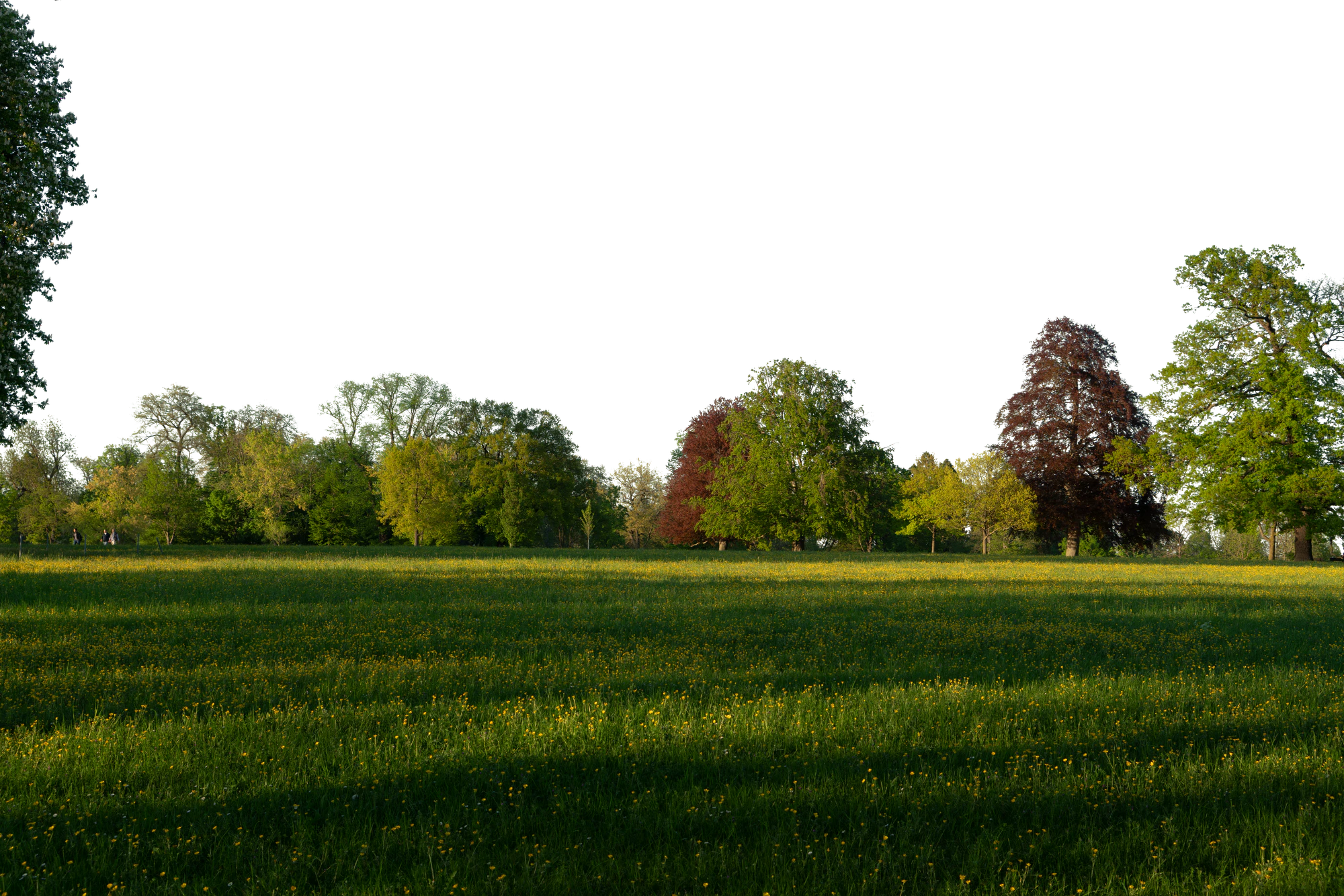 background 036 — Скачать