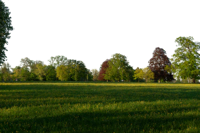 background 036 — download