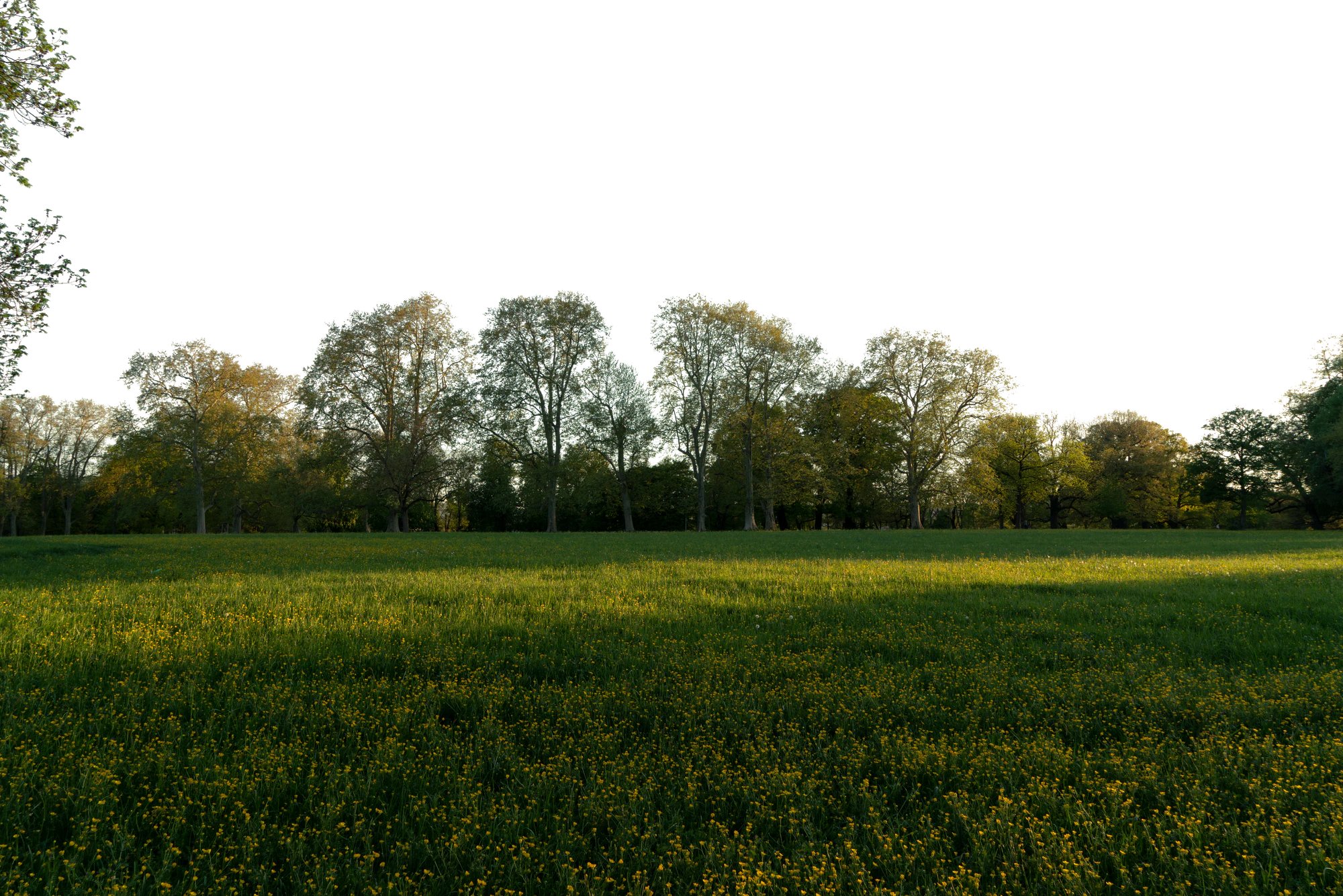 background 037 — Скачать