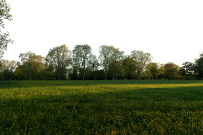 background 037 — download