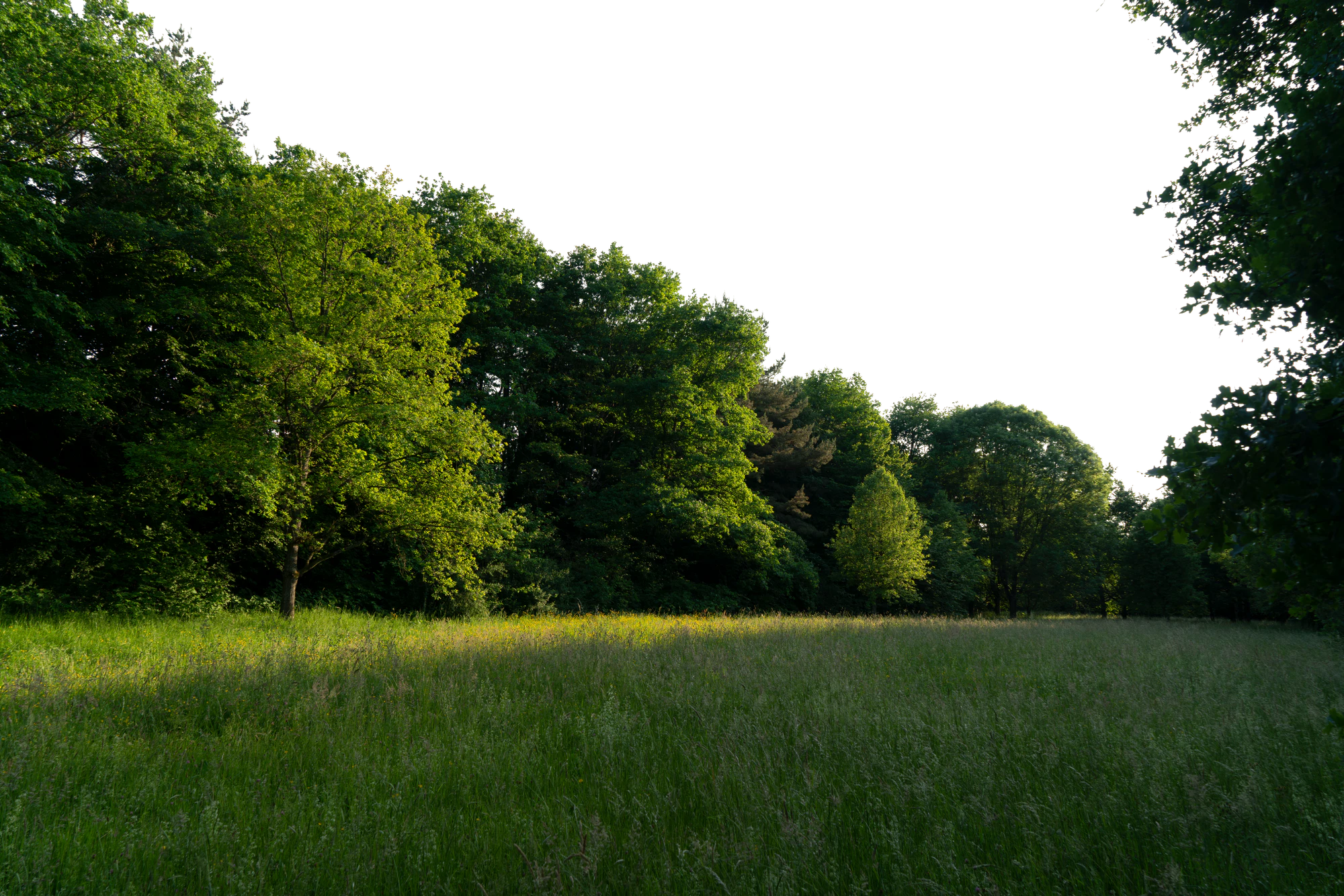 background 038 — Скачать