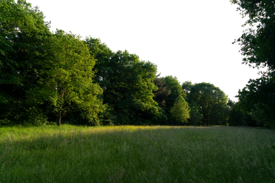 background 038 — Скачать