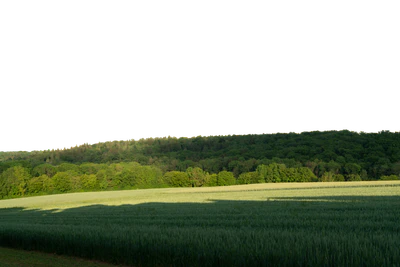background 039 — download