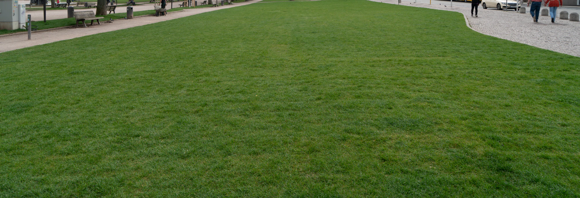 grass 002 — Descargar
