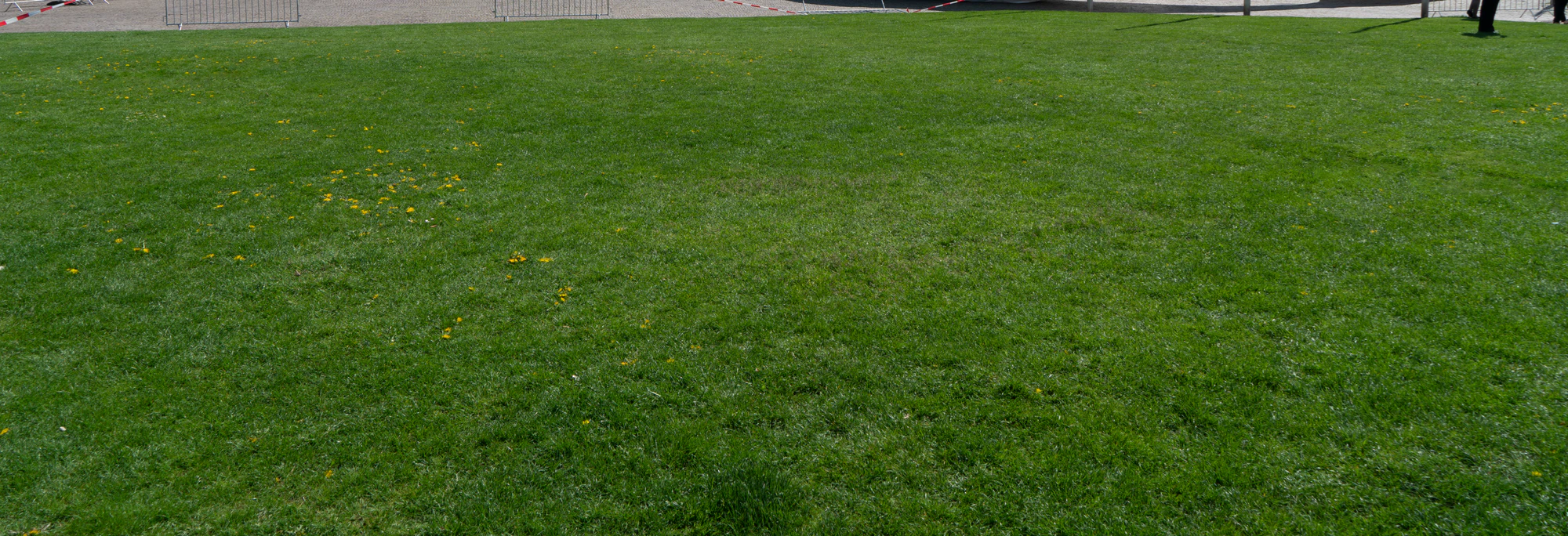 grass 003 — Descargar