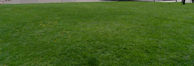 grass 003 — Descargar