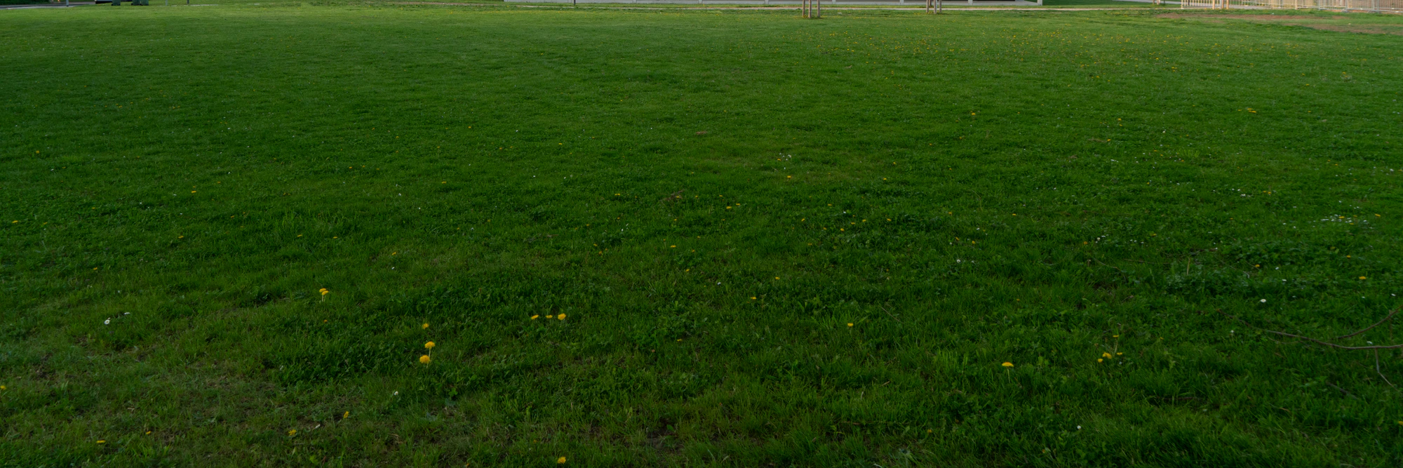 grass 004 — Скачать