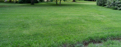 grass 006 — Скачать