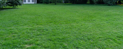 grass 007 — Download