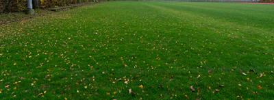 grass 008 — Descargar
