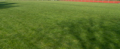 grass 012 — Descargar