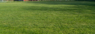 grass 013 — download