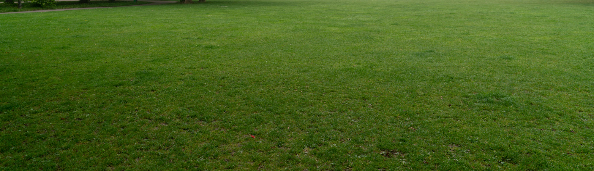 grass 014 — Descargar