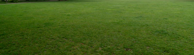 grass 014 — Descargar