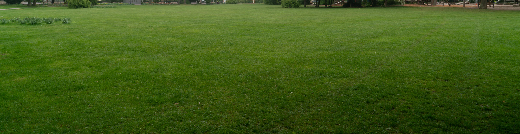 grass 016 — Descargar