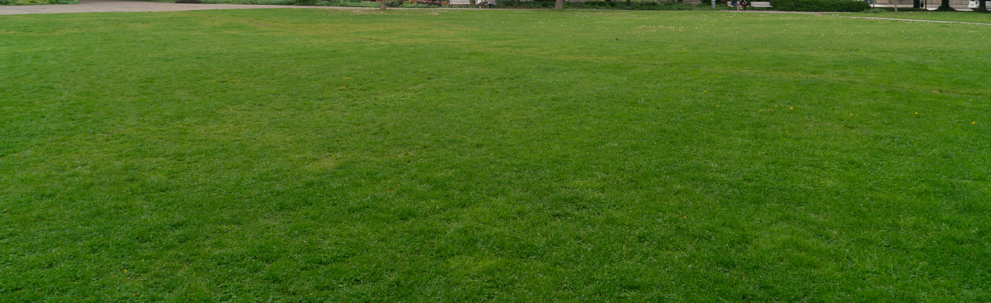 grass 017 — Descargar