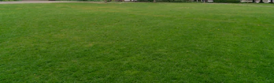 grass 017 — Descargar