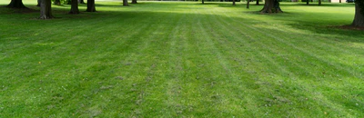 grass 018 — Скачать