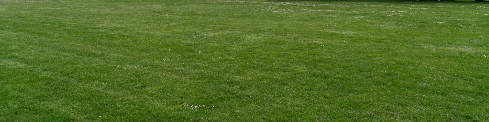 grass 019 — Descargar