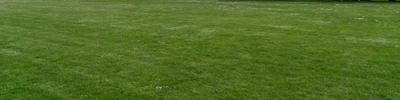 grass 019 — Descargar