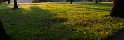grass 020 — Скачать