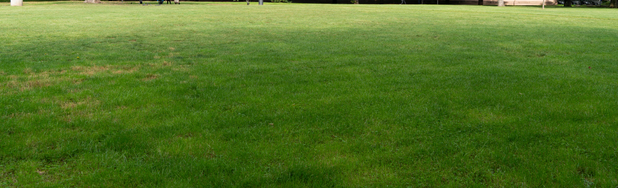 grass 022 — Скачать