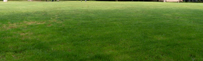 grass 022 — Скачать