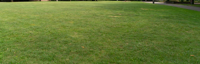 grass 023 — Descargar