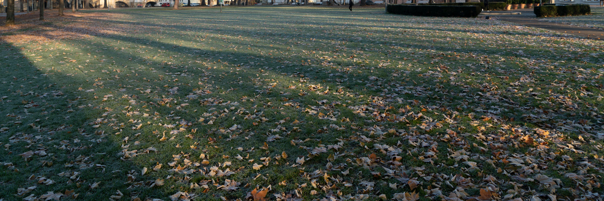 grass 025 — Descargar