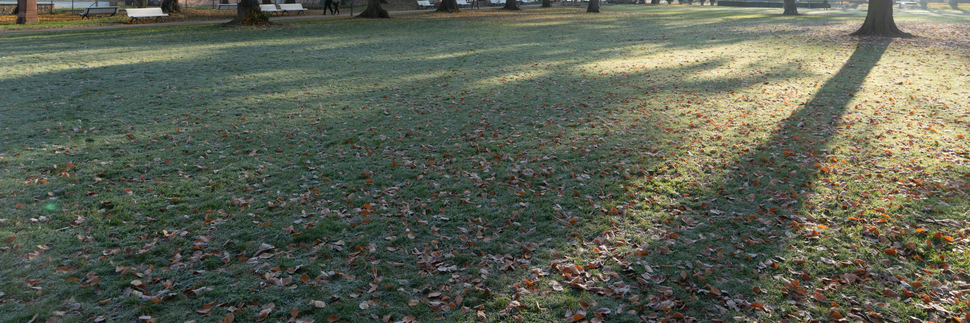 grass 026 — Descargar
