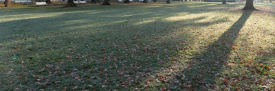 grass 026 — Descargar