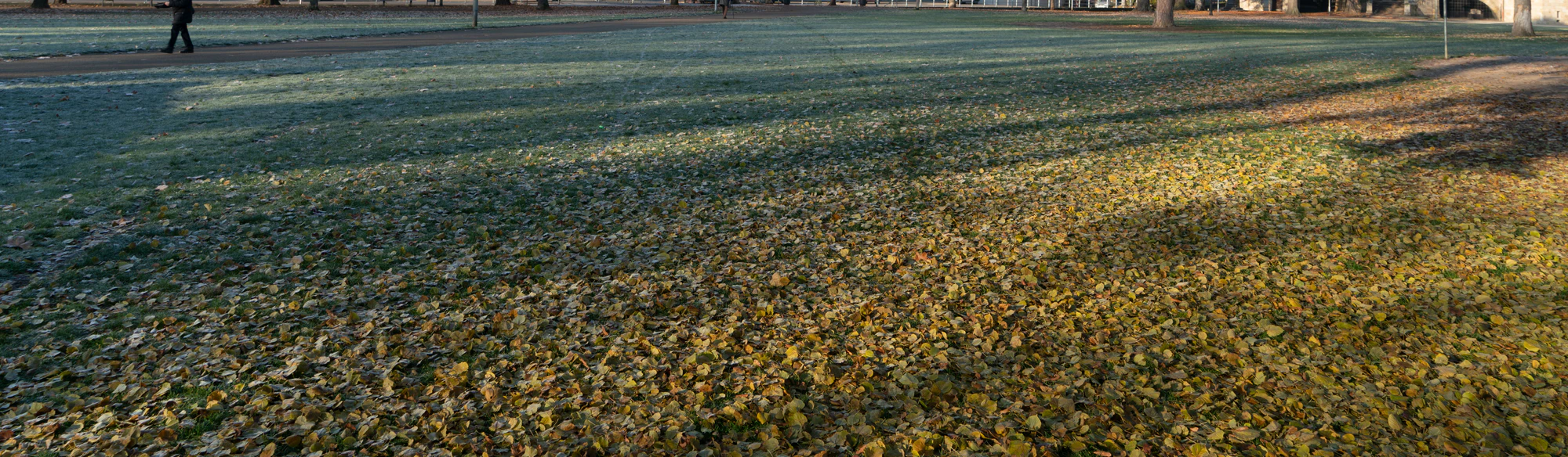 grass 028 — Скачать