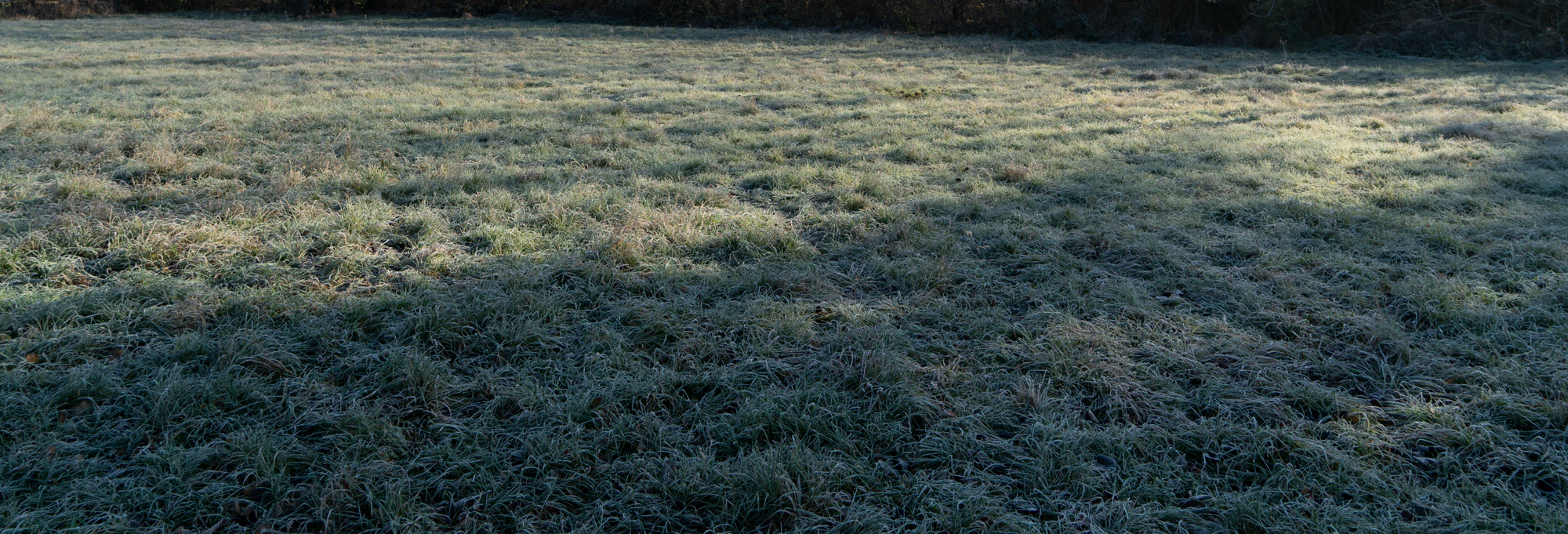 grass 029 — Descargar