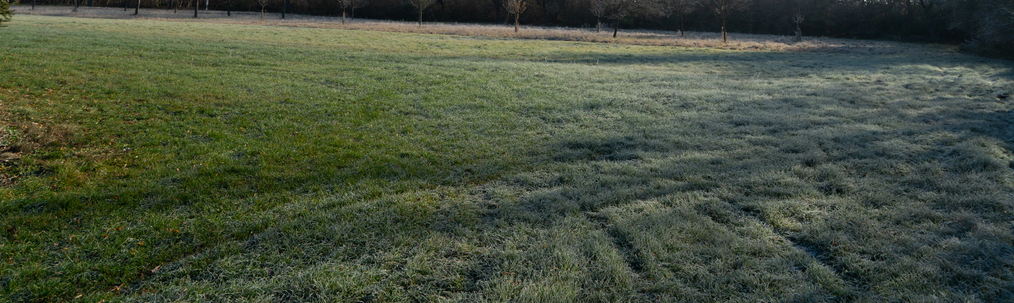 grass 030 — Descargar