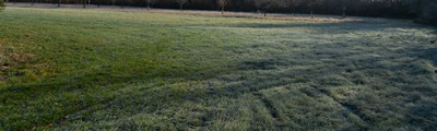 grass 030 — Descargar