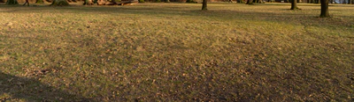 grass 031 — Descargar