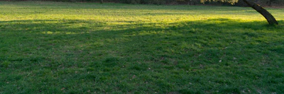 grass 034 — download