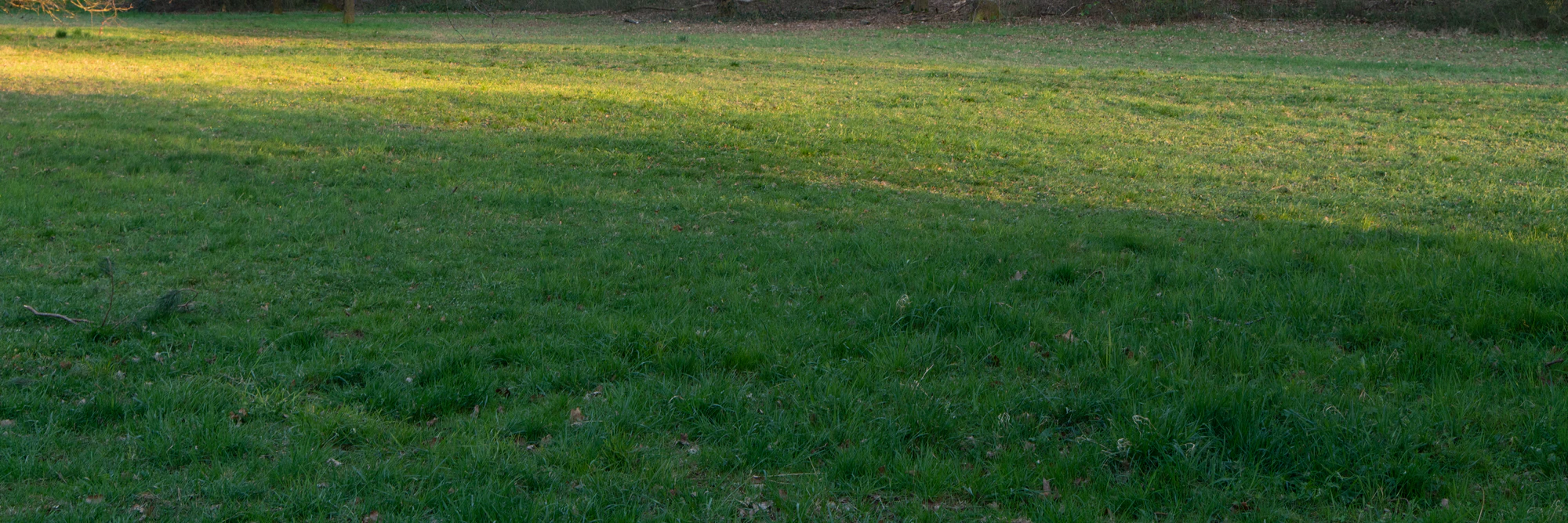 grass 035 — Скачать