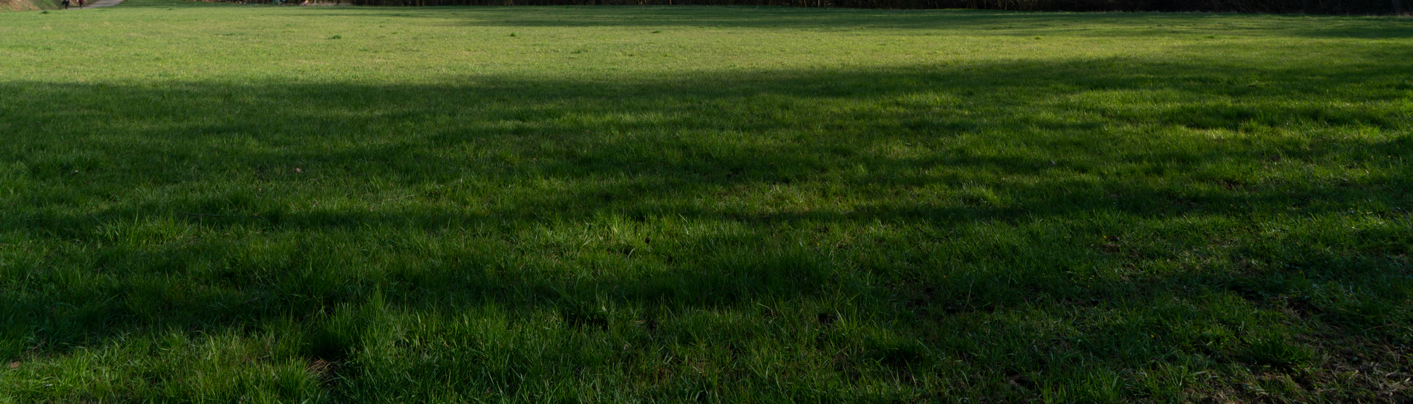 grass 036 — Скачать