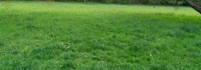 grass 037 — download