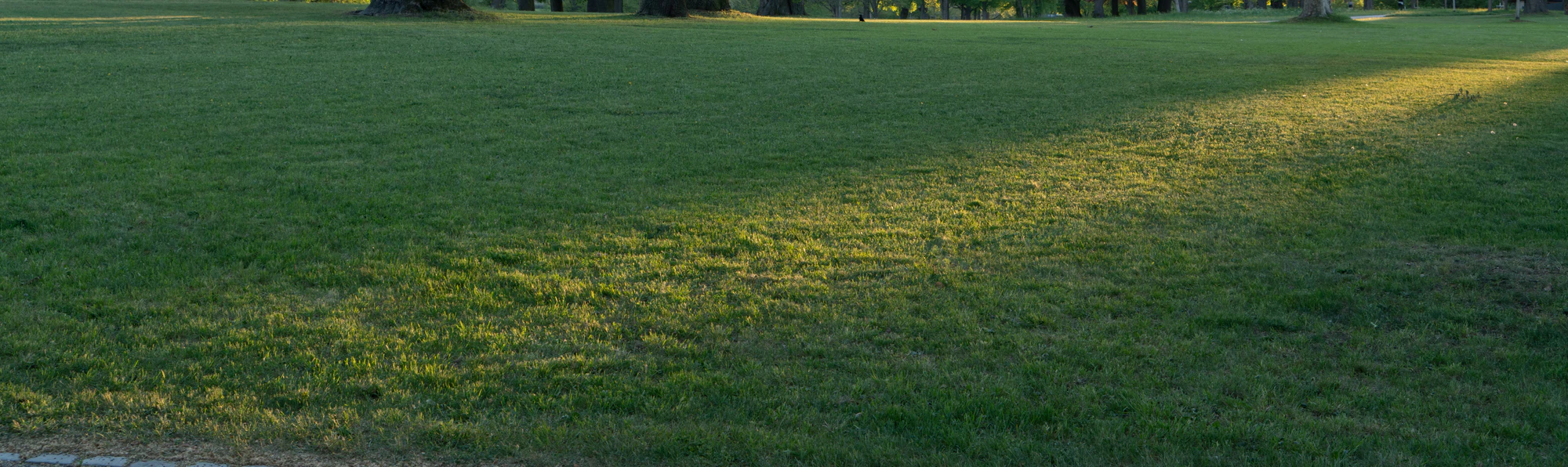 grass 038 — Скачать