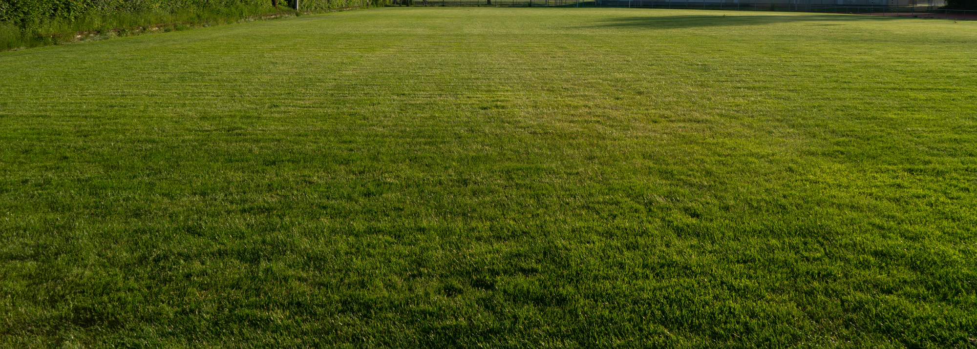 grass 039 — Descargar